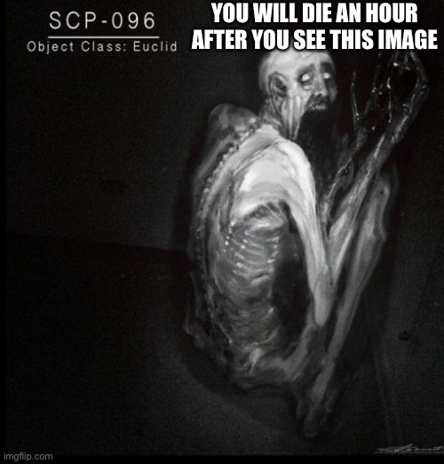 SCP-096 | YOU WILL DIE AN HOUR AFTER YOU SEE THIS IMAGE | image tagged in scp-096 | made w/ Imgflip meme maker