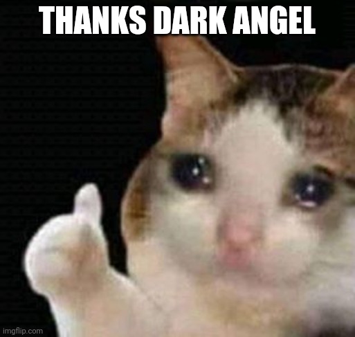 sad thumbs up cat | THANKS DARK ANGEL | image tagged in sad thumbs up cat | made w/ Imgflip meme maker
