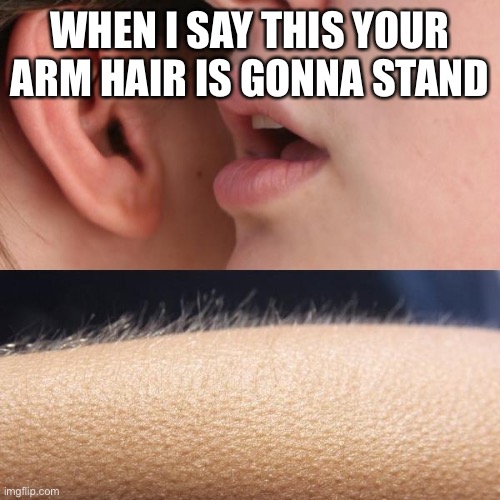 Whisper and Goosebumps | WHEN I SAY THIS YOUR ARM HAIR IS GONNA STAND | image tagged in whisper and goosebumps | made w/ Imgflip meme maker