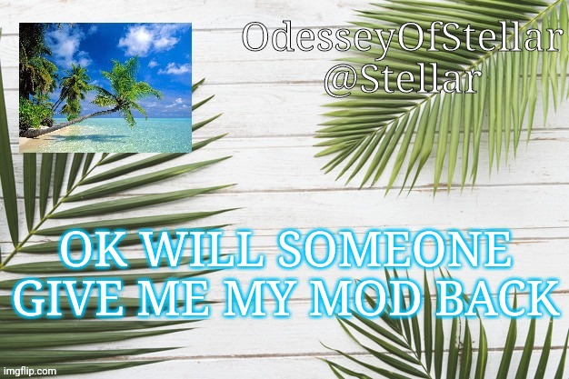 palms | OK WILL SOMEONE GIVE ME MY MOD BACK | image tagged in palms | made w/ Imgflip meme maker