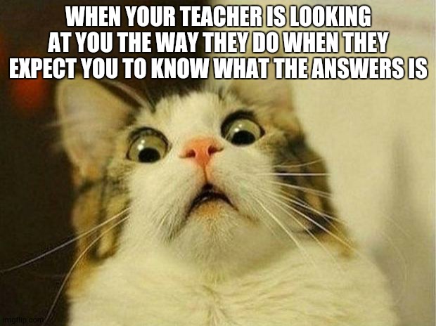 Scared Cat | WHEN YOUR TEACHER IS LOOKING AT YOU THE WAY THEY DO WHEN THEY EXPECT YOU TO KNOW WHAT THE ANSWERS IS | image tagged in memes,scared cat | made w/ Imgflip meme maker