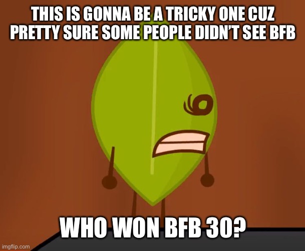 BFDI "Wat" Face | THIS IS GONNA BE A TRICKY ONE CUZ PRETTY SURE SOME PEOPLE DIDN’T SEE BFB; WHO WON BFB 30? | image tagged in bfdi wat face | made w/ Imgflip meme maker