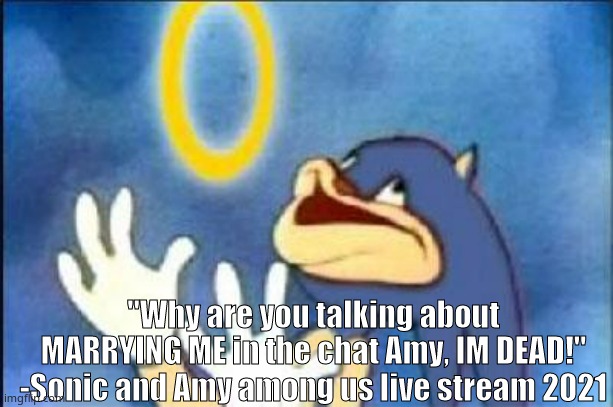 EA | "Why are you talking about MARRYING ME in the chat Amy, IM DEAD!" -Sonic and Amy among us live stream 2021 | image tagged in sonic derp | made w/ Imgflip meme maker