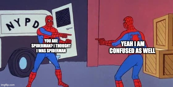 spiders are creepy XD | YOU ARE SPIDERMAN? I THOUGHT I WAS SPIDERMAN; YEAH I AM CONFUSED AS WELL | image tagged in spider man double | made w/ Imgflip meme maker