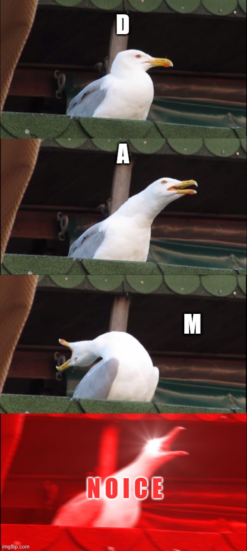 Inhaling Seagull Meme | D A M N O I C E | image tagged in memes,inhaling seagull | made w/ Imgflip meme maker