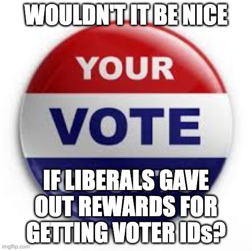 Feckless Liberals | WOULDN'T IT BE NICE; IF LIBERALS GAVE OUT REWARDS FOR GETTING VOTER IDs? | image tagged in vote | made w/ Imgflip meme maker