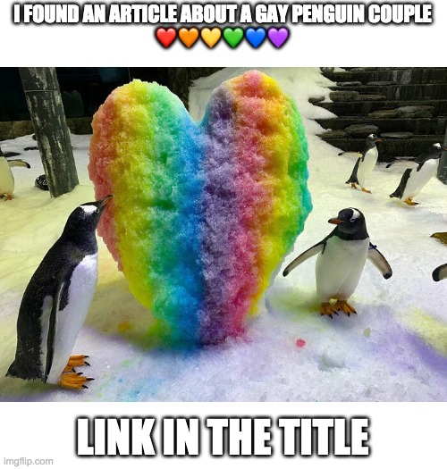 https://www.boredpanda.com/gay-penguin-parents/?utm_source=google&utm_medium=organic&utm_campaign=organic | I FOUND AN ARTICLE ABOUT A GAY PENGUIN COUPLE
❤️🧡💛💚💙💜; LINK IN THE TITLE | image tagged in gay penguins | made w/ Imgflip meme maker