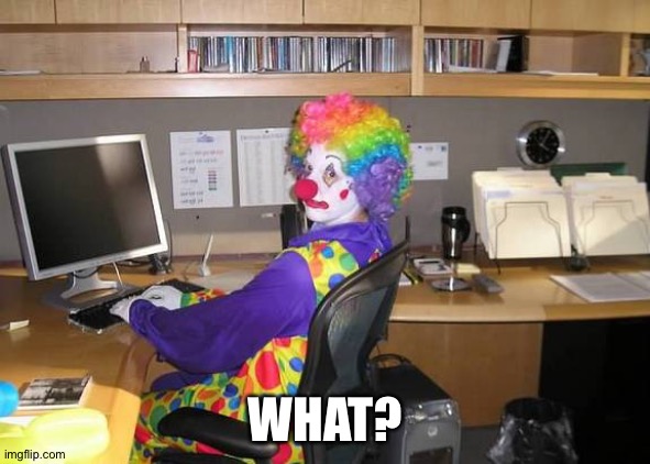 clown computer | WHAT? | image tagged in clown computer | made w/ Imgflip meme maker