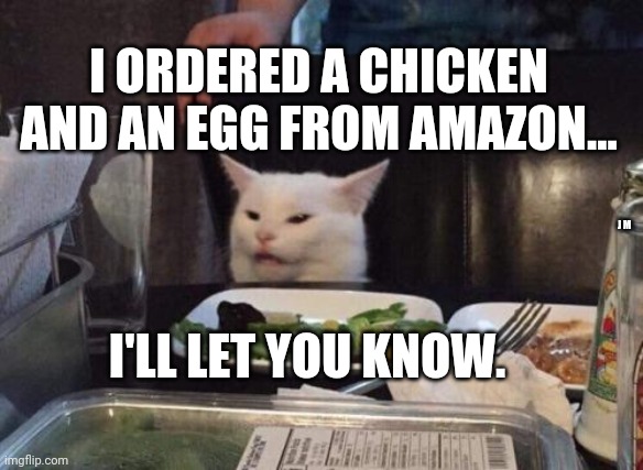 Salad cat | I ORDERED A CHICKEN AND AN EGG FROM AMAZON... J M; I'LL LET YOU KNOW. | image tagged in salad cat | made w/ Imgflip meme maker