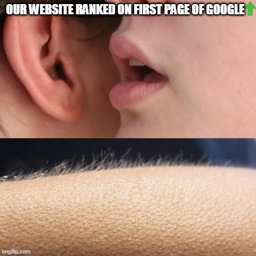 website ranking on first page | OUR WEBSITE RANKED ON FIRST PAGE OF GOOGLE | image tagged in whisper and goosebumps,digital marketing,digital advertising,online marketing meme,digital marketing meme,social media marketing | made w/ Imgflip meme maker