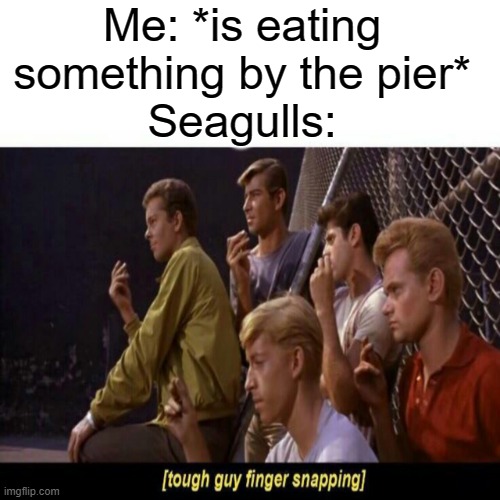 Tough Guy Finger Snapping |  Me: *is eating something by the pier*
Seagulls: | image tagged in tough guy finger snapping | made w/ Imgflip meme maker
