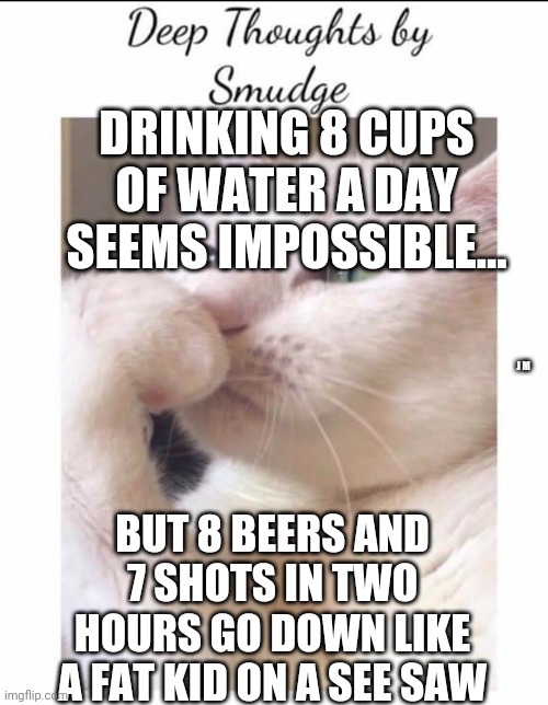 Smudge | DRINKING 8 CUPS OF WATER A DAY SEEMS IMPOSSIBLE... J M; BUT 8 BEERS AND 7 SHOTS IN TWO HOURS GO DOWN LIKE A FAT KID ON A SEE SAW | image tagged in smudge | made w/ Imgflip meme maker