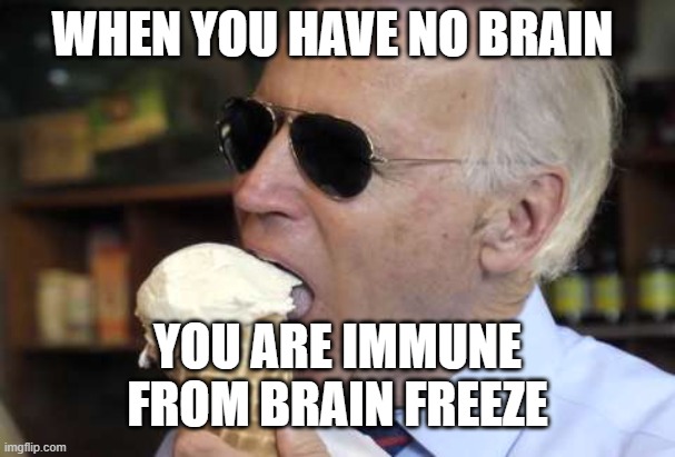 no brain freeze | WHEN YOU HAVE NO BRAIN; YOU ARE IMMUNE FROM BRAIN FREEZE | image tagged in joe biden 2020 | made w/ Imgflip meme maker