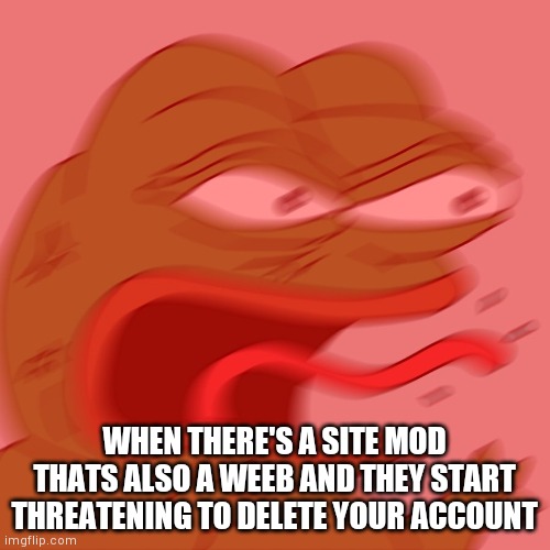 They also deleted a bunch of my comments so I can't comment for 24 hours :( (mine turtle note: ILL GET YOU CRAZY KIDS) | WHEN THERE'S A SITE MOD THATS ALSO A WEEB AND THEY START THREATENING TO DELETE YOUR ACCOUNT | image tagged in reeeeeeeeeeeeeeeeeeeeee | made w/ Imgflip meme maker