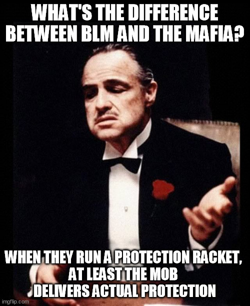 mafia don corleone | WHAT'S THE DIFFERENCE BETWEEN BLM AND THE MAFIA? WHEN THEY RUN A PROTECTION RACKET, 
AT LEAST THE MOB 
DELIVERS ACTUAL PROTECTION | image tagged in mafia don corleone | made w/ Imgflip meme maker
