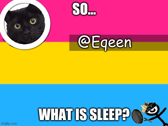Equeen | SO... WHAT IS SLEEP? | image tagged in equeen | made w/ Imgflip meme maker