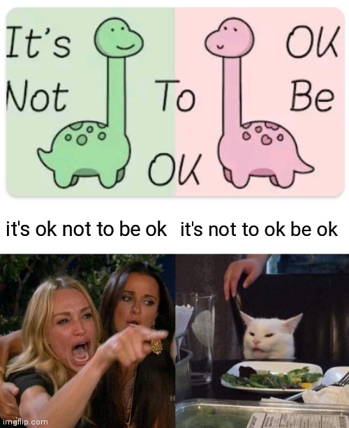 ok | it's ok not to be ok; it's not to ok be ok | image tagged in memes,woman yelling at cat,ok,dinosaur | made w/ Imgflip meme maker