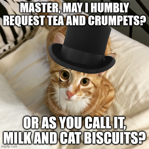 Elegant Cat Wants Food And Drink | MASTER, MAY I HUMBLY REQUEST TEA AND CRUMPETS? OR AS YOU CALL IT, MILK AND CAT BISCUITS? | image tagged in elegant cat | made w/ Imgflip meme maker