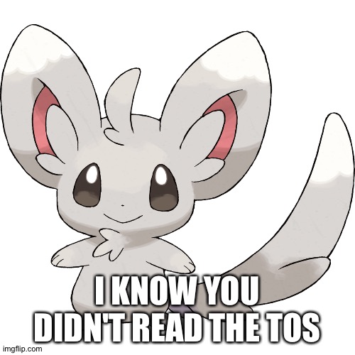 Minccino | I KNOW YOU DIDN'T READ THE TOS | image tagged in minccino | made w/ Imgflip meme maker