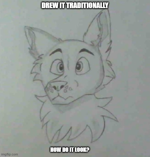 DREW IT TRADITIONALLY; HOW DO IT LOOK? | made w/ Imgflip meme maker