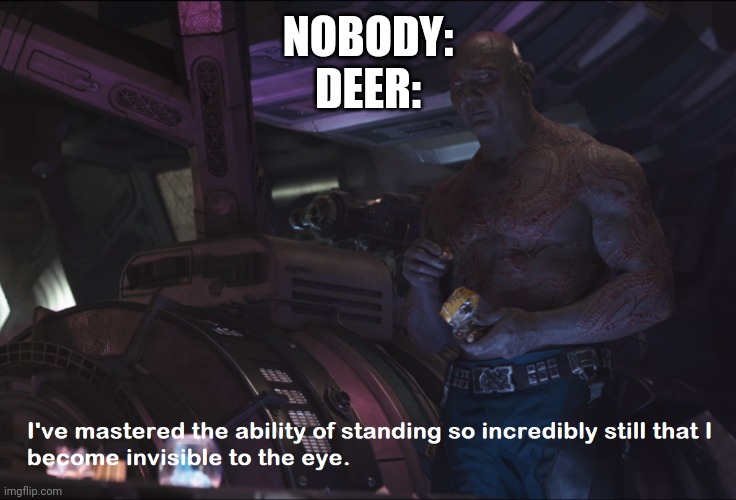 Invisible Drax | NOBODY:
DEER: | image tagged in invisible drax | made w/ Imgflip meme maker