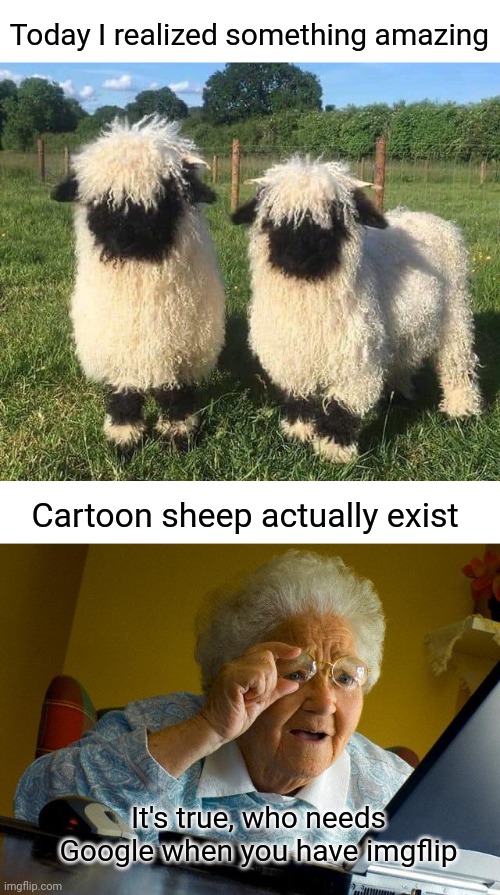 Cartoon Sheep | Today I realized something amazing; Cartoon sheep actually exist; It's true, who needs Google when you have imgflip | image tagged in memes,grandma finds the internet,sheep,funny memes | made w/ Imgflip meme maker