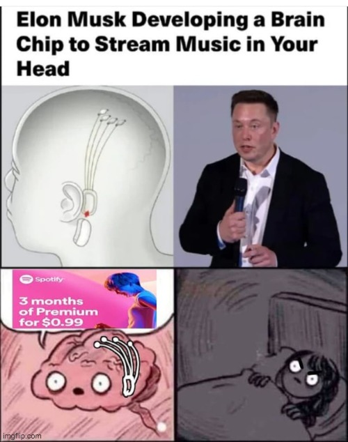 NOo00oO PlZ NOOO | image tagged in funny,memes,elon musk | made w/ Imgflip meme maker