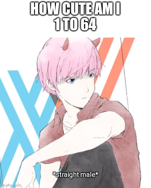 His mom is zero two and his dad is jojo | HOW CUTE AM I
1 TO 64; *straight male* | image tagged in anime,cyka blyat | made w/ Imgflip meme maker
