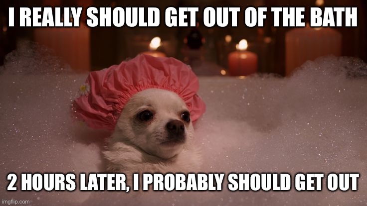 Chihuahua Bubble Bath | I REALLY SHOULD GET OUT OF THE BATH; 2 HOURS LATER, I PROBABLY SHOULD GET OUT | image tagged in chihuahua bubble bath | made w/ Imgflip meme maker