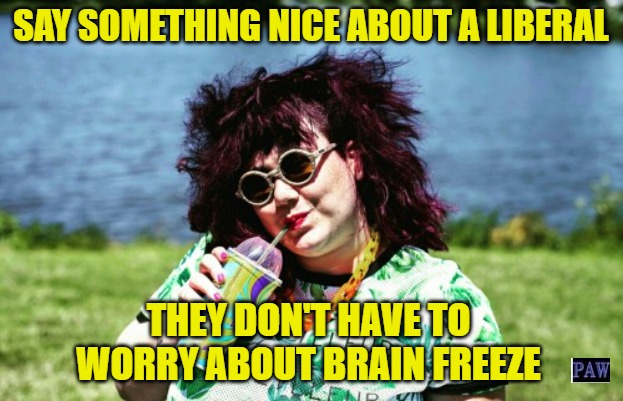 Say Something Nice | SAY SOMETHING NICE ABOUT A LIBERAL; THEY DON'T HAVE TO WORRY ABOUT BRAIN FREEZE | image tagged in liberal,brain freeze,funny | made w/ Imgflip meme maker