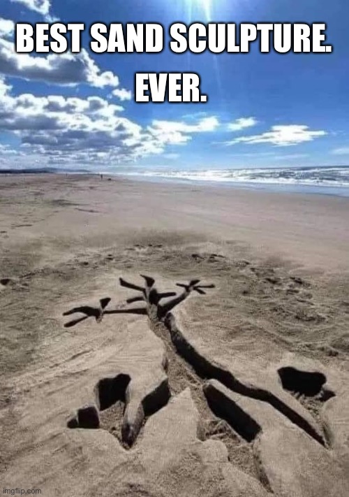 Wile E. Coyote |  BEST SAND SCULPTURE. EVER. | image tagged in looney tunes | made w/ Imgflip meme maker