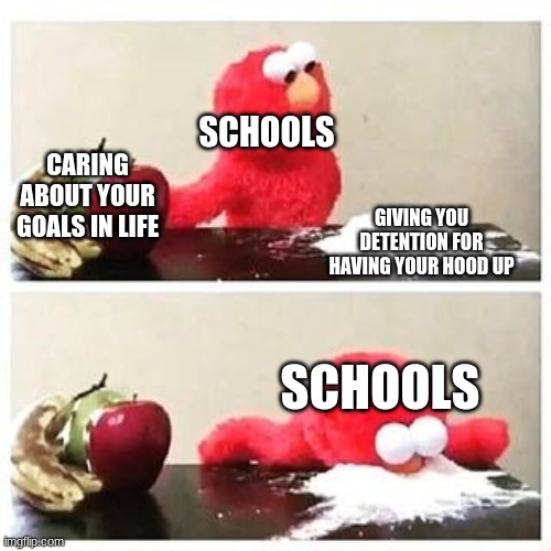 It's True | SCHOOLS; CARING ABOUT YOUR GOALS IN LIFE; GIVING YOU DETENTION FOR HAVING YOUR HOOD UP; SCHOOLS | image tagged in elmo cocaine | made w/ Imgflip meme maker