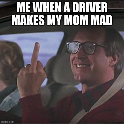Clark Griswold  | ME WHEN A DRIVER MAKES MY MOM MAD | image tagged in clark griswold | made w/ Imgflip meme maker