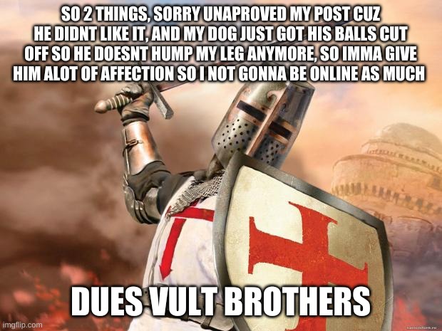 so yeah :l | SO 2 THINGS, SORRY UNAPROVED MY POST CUZ HE DIDNT LIKE IT, AND MY DOG JUST GOT HIS BALLS CUT OFF SO HE DOESNT HUMP MY LEG ANYMORE, SO IMMA GIVE HIM ALOT OF AFFECTION SO I NOT GONNA BE ONLINE AS MUCH; DUES VULT BROTHERS | image tagged in crusader | made w/ Imgflip meme maker