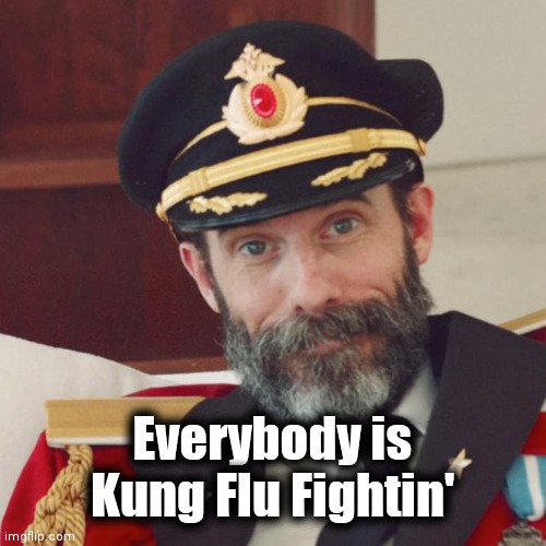 Captain Obvious | Everybody is Kung Flu Fightin' | image tagged in captain obvious | made w/ Imgflip meme maker