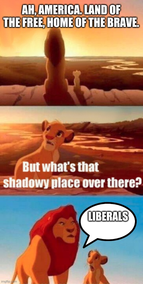 For Real Though | AH, AMERICA. LAND OF THE FREE, HOME OF THE BRAVE. LIBERALS | image tagged in memes,simba shadowy place,conservatives,liberals,america | made w/ Imgflip meme maker