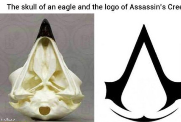 assassins creed | image tagged in assassins creed | made w/ Imgflip meme maker