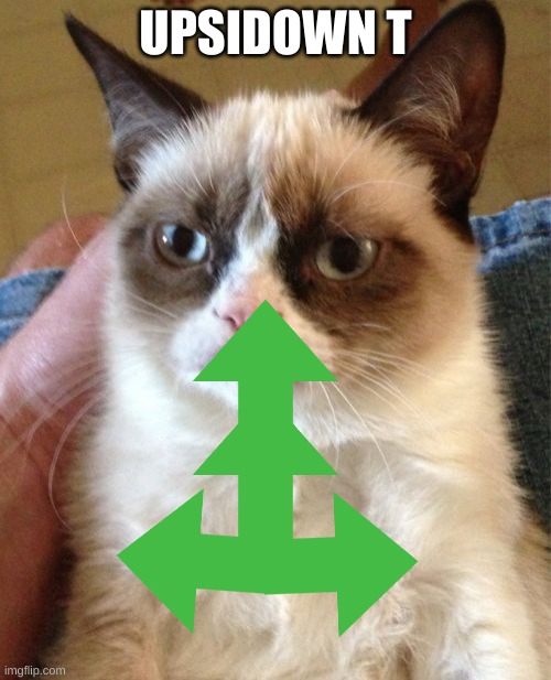 Grumpy Cat Meme | UPSIDOWN T | image tagged in memes,grumpy cat | made w/ Imgflip meme maker
