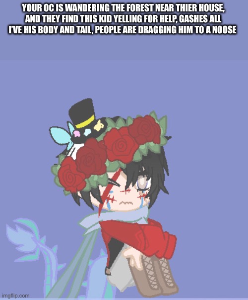 He looks about 6 | YOUR OC IS WANDERING THE FOREST NEAR THIER HOUSE, AND THEY FIND THIS KID YELLING FOR HELP, GASHES ALL I’VE HIS BODY AND TAIL, PEOPLE ARE DRAGGING HIM TO A NOOSE | made w/ Imgflip meme maker