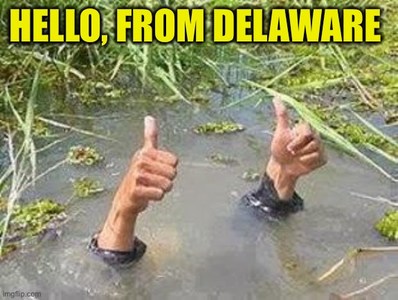 FLOODING THUMBS UP | HELLO, FROM DELAWARE | image tagged in flooding thumbs up | made w/ Imgflip meme maker