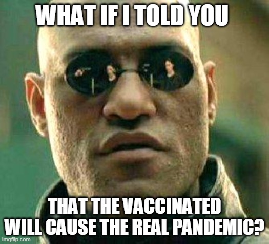 Pale Horse 2021 | WHAT IF I TOLD YOU; THAT THE VACCINATED WILL CAUSE THE REAL PANDEMIC? | image tagged in what if i told you | made w/ Imgflip meme maker