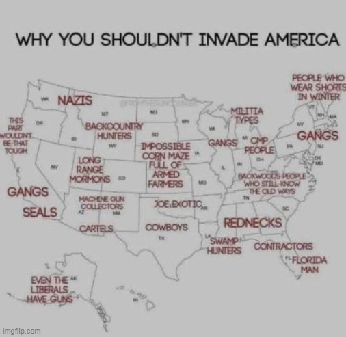 why you shouldn't invade america | image tagged in memes,your mom,never gonna give you up | made w/ Imgflip meme maker