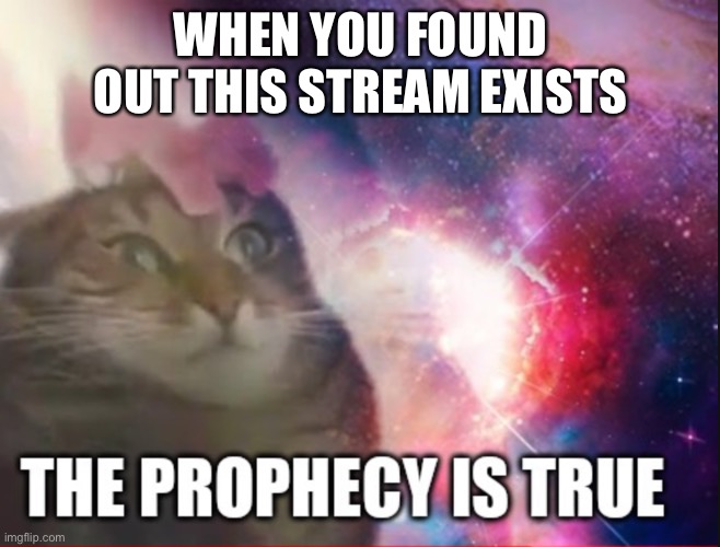 It was prophesied | WHEN YOU FOUND OUT THIS STREAM EXISTS | image tagged in the prophecy is true,or56_meme_stream | made w/ Imgflip meme maker