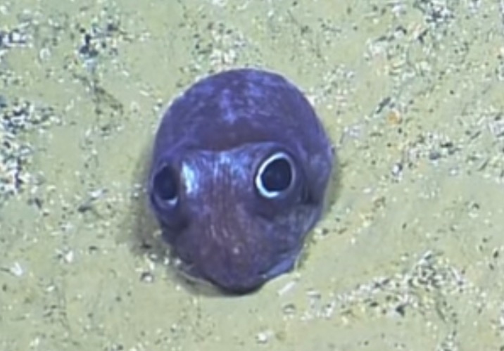 Beby. | made w/ Imgflip meme maker