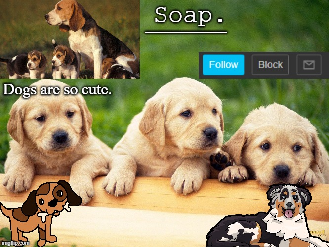 High Quality Soap doggo temp Blank Meme Template