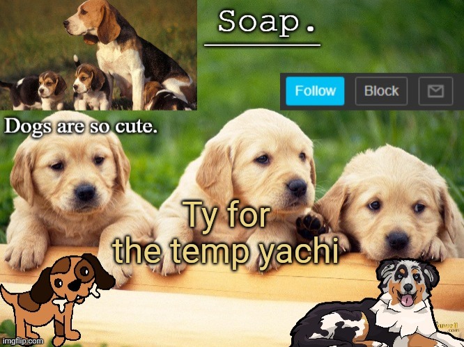 Soap doggo temp | Ty for the temp yachi | image tagged in soap doggo temp ty yachi | made w/ Imgflip meme maker