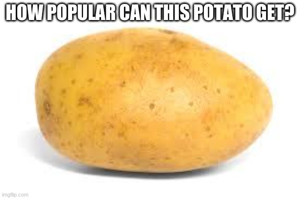 If you cry "bEgGaR" or "rEpOsT" in the comments, istg I will block you. | HOW POPULAR CAN THIS POTATO GET? | image tagged in potato | made w/ Imgflip meme maker