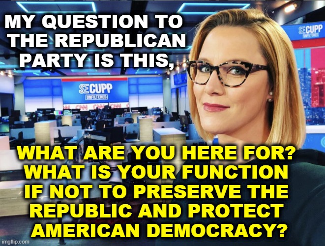 Hey Republicans, why are you here? | MY QUESTION TO 
THE REPUBLICAN PARTY IS THIS, WHAT ARE YOU HERE FOR? 
WHAT IS YOUR FUNCTION 
IF NOT TO PRESERVE THE 
REPUBLIC AND PROTECT 
AMERICAN DEMOCRACY? | image tagged in republican party,why | made w/ Imgflip meme maker