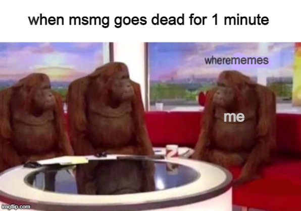 Where banana blank | when msmg goes dead for 1 minute; memes; me | image tagged in where banana blank | made w/ Imgflip meme maker