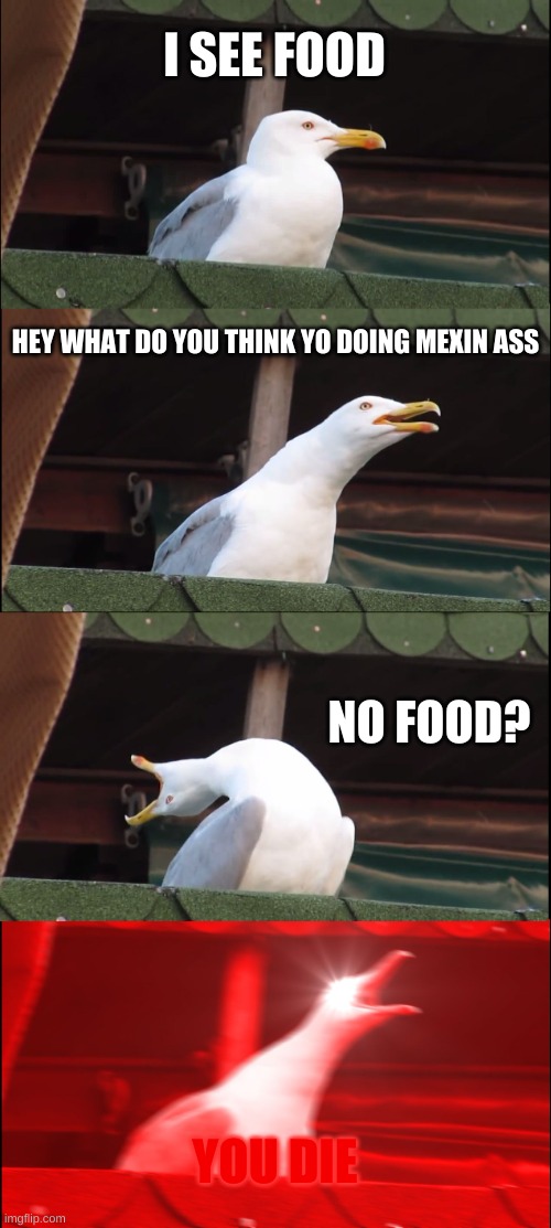 Inhaling Seagull | I SEE FOOD; HEY WHAT DO YOU THINK YO DOING MEXIN ASS; NO FOOD? YOU DIE | image tagged in memes,inhaling seagull | made w/ Imgflip meme maker